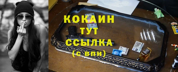 крисы Аркадак