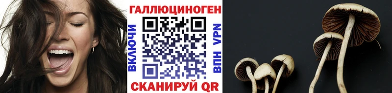 кракен рабочий сайт  Остров  Галлюциногенные грибы GOLDEN TEACHER  продажа наркотиков 